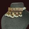 GARGI PEARL DROP CHOKER NECKLACE SET